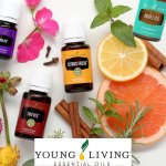 Young Living le