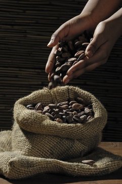 Kakaobohnen, 250g, Bio- und Rohkostqualitt, Sorte: Criollo