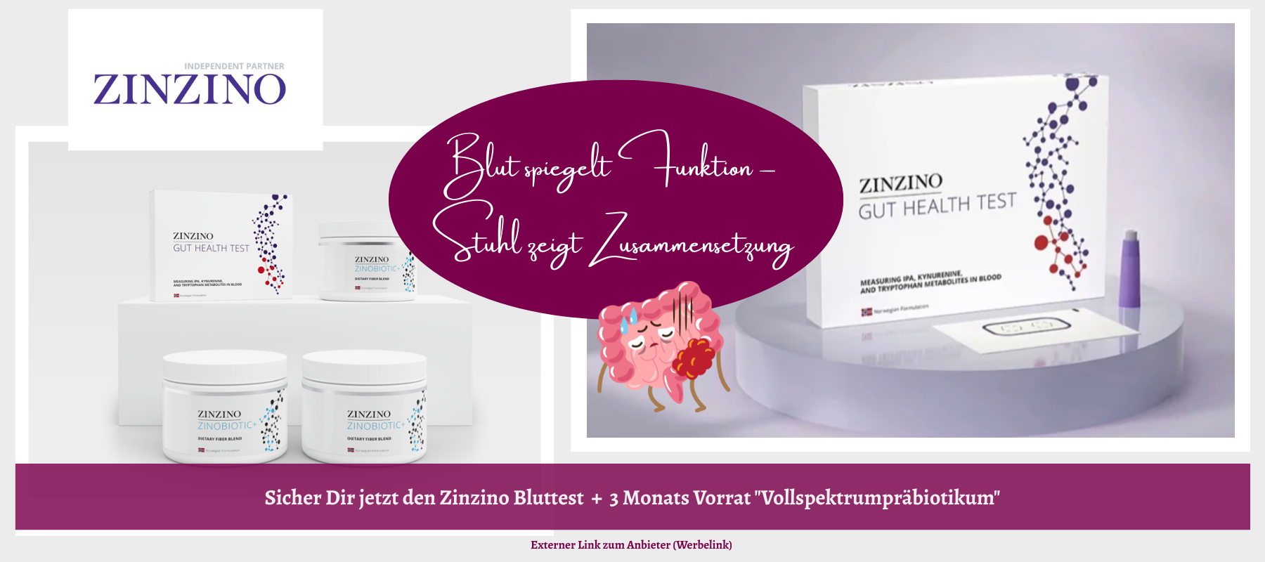 zinzino-darm-test-kauf