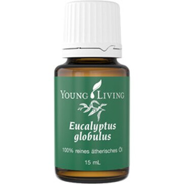 Eucalyptus globulus,15ml,ätherisches Einzelöl, 100% naturreine Qualität von Young Living