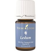 Ledum , 5ml reines ätherisches Öl von Young Living
