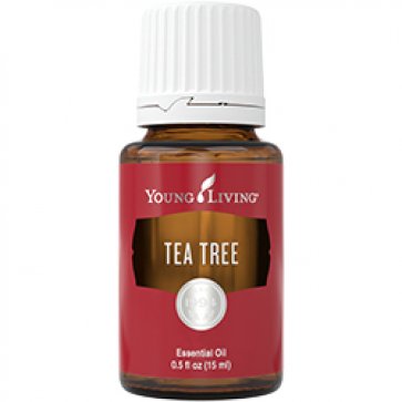 Teebaumöl,15ml, 100% ätherisches Einzelöl, 100% naturrein,therapeutische Qualität von Young Living