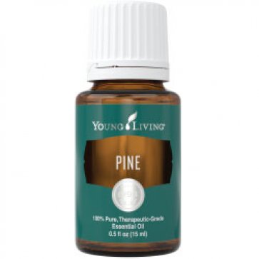 Kiefer (Pine),15ml ätherisches Einzelöl, 100% naturrein,therapeutische Qualität von Young Living