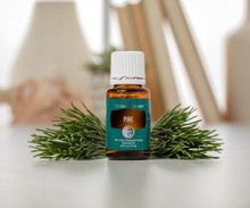 Kiefer (Pine),15ml ätherisches Einzelöl, 100% naturrein,therapeutische Qualität von Young Living