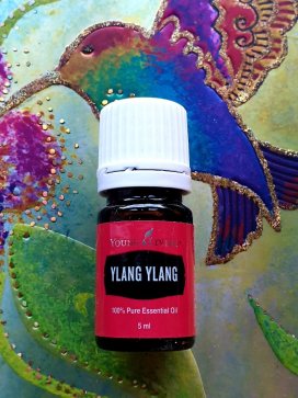 Ylang Ylang &ndash; 5ml, reines, therapeutisches Einzelöl von Young Living