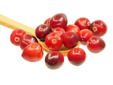 Cranberrypulver, 250g, Bio- und Rohkostqualität