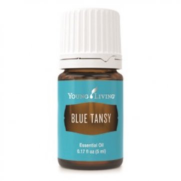 Blauer Rainfarn (Blue Tansy) &ndash; 5ml, reines, therapeutisches Öl von Young Living
