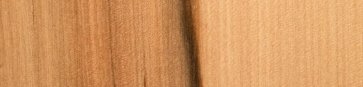 Staubkamm aus Elsbeerenholz, Handarbeit fein/extrafein; ca. 8cm lang