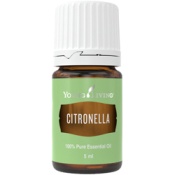 Citronella –  5ml ätherisches Einzelöl,...